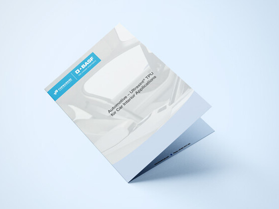 a floating folder tilted backwards against a light background with a blue BASF logo and the inscription 